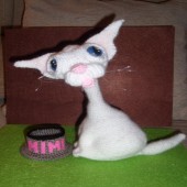 Gatita Mimi