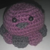 Pulpo