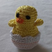 Pollito