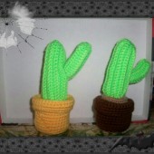 Cactus 2 ramas