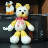 Gatito  Chalito