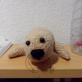 Foquita