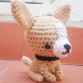 Fernando el chihuahua