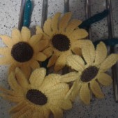 girasoles