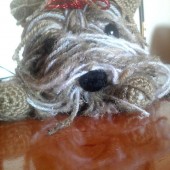 Perro