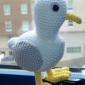 Gavi, la gaviota