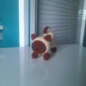 Gatito siames