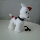fox terrier