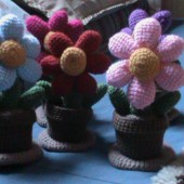jardin de flores