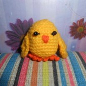 Mini pollito bebe