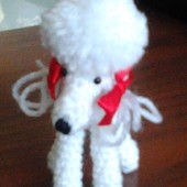 Caniche mini