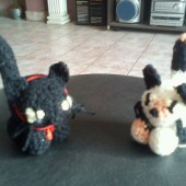 duo de minis gatitos