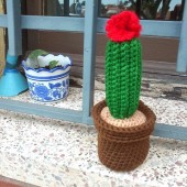 Cactus con flor