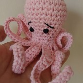 Pulpo