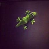 SeÃ±or Lagarto