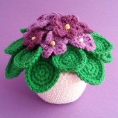 Violetas