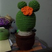 CACTUS