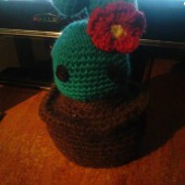 Cactus