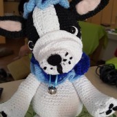 Perrito fiestÃ³n
