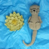 Nutria