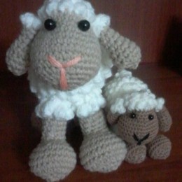 Imagen ficha