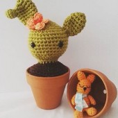 Cactus Baby 
