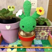 Cactus florido