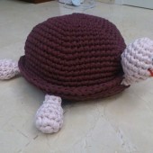 tortuga de trapillo