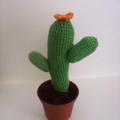 cactus con flor
